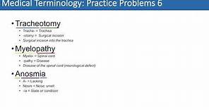 Medical Terminology | The Basics and Anatomy | Practice Problems Set 1