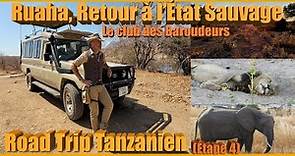 Safari Tanzanie / RUAHA: la plus grande réserve de Tanzanie ! Road Trip Tanzanien (Étape4)