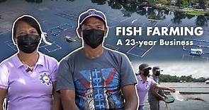 FISH FARMING: The Story Behind a 23-Year Fish Farming Business in the Philippines | Documentary