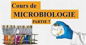 cours de microbiologie partie 7 : morphologie et structure de la bactérie - procaryote et eucaryote
