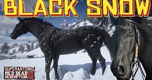 Field Testing The Forbidden Black Snowflake Appaloosa With Arthur, in Red Dead Redemption 2