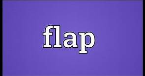 Flap Meaning