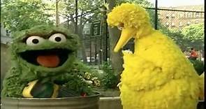 Big Bird and Oscar the Grouch in Sesame Street's what's the name of that song .