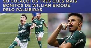 Os 3 gols mais bonitos de Willian Bigode pelo Palmeiras!