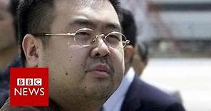 Why was Kim Jong-nam killed? BBC News