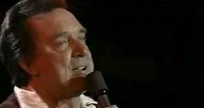 The Wind Beneath My Wings - Ray Price 1987