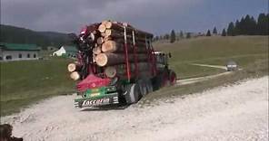 Rimorchio forestale - Zaccaria forestry trailer