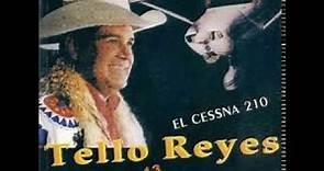 Rosa de castilla Tello Reyes