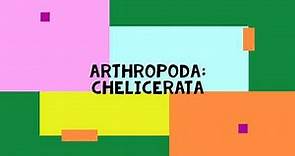 Arthropods: Chelicerata