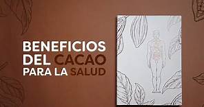 #EXPLICAMOS™ Beneficios del Cacao para la Salud (VitalCao) #videoexplicativo