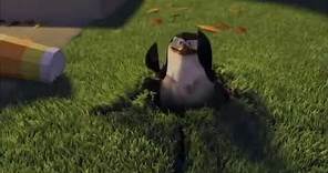 Tu no has visto nada - Skipper - Los pinguinos de madagascar (meme)