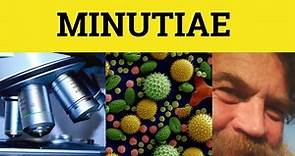 🔵 Minutiae - Minutiae Meaning - Minutiae Examples - Latin in English