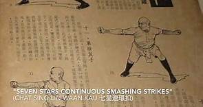 Lam Sai Wing's "Seven Stars Continuous Smashing Strikes" | Practical Hung Kyun