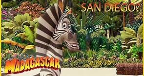 DreamWorks Madagascar en Español Latino | Es San Diego! | Madagascar ...