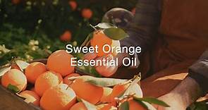 Sweet Orange Essential Oil - Top 3 Benefits