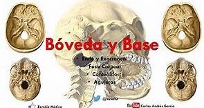 Anatomía - Bóveda y Base del Cráneo (Endo y Exocraneal, Fosas Craneales)