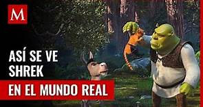 Increíble transformación: Personajes de Shrek en la vida real