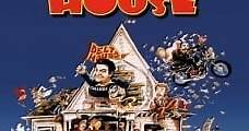 Desmadre a la americana (1978) Online - Película Completa en Español - FULLTV