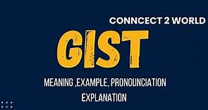 What Does GIST Means || Meanings And Definitions With GIST in ENGLISH
