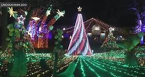 'Zoo Lights' at Lincoln Park Zoo to kick off its 29th year