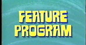 Feature Program - Buena Vista Home Video (1994) Company Logo (VHS Capture)