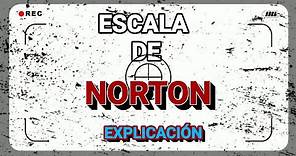 ESCALA DE NORTON EXPLICACIÓN Y VALORACIÓN