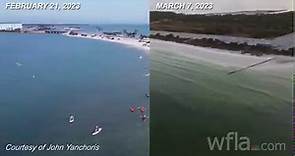 Video shows Honeymoon Island before, after red tide