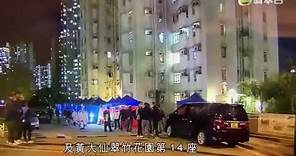 無綫新聞主播陳嘉欣讀錯「警犬」收500宗投訴 TVB稱將嚴肅跟進