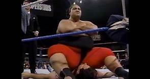 WWF Wrestling March 1993
