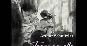 Traumnovelle by Arthur Schnitzler read by Hokuspokus | Full Audio Book