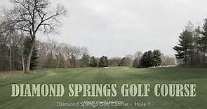 Diamond Springs by Michigan Golf Matrix