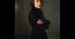 Franz Liszt Hungarian Rhapsody No. 2 - Josef Bulva