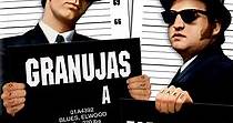 Granujas a todo ritmo (The Blues Brothers) online