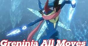 Ash's Greninja All Attacks & Moves (Pokemon)