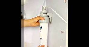 Doulton EcoFast water filter 道爾頓矽藻瓷濾水器(海星號皇室型)