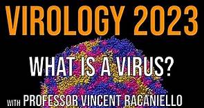Virology Lectures 2023 #1: What is a virus?