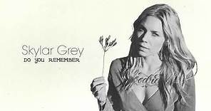 Skylar Grey - Do You Remember (Official Audio)