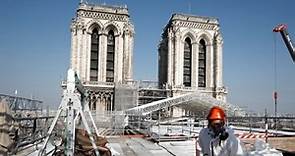 Rebuilding Notre-Dame cathedral... with 1,000 oak trees