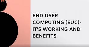 End User Computing (EUC) - It's Working and Benefits