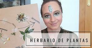 CÓMO CREAR UN HERBARIO DE PLANTAS MEDICINALES / IDEAS DIY