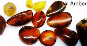 Identify Fake Amber | How to test Real Amber and Copal? | Burma amber