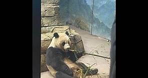 Smithsonian National Zoological Park ( dc zoo )