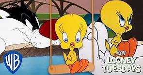 Looney Tuesdays | 15 Times Tweety Almost Got Caught By Sylvester | Looney Tunes | @WB Kids