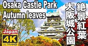 大阪城公園の紅葉 2022 Autumn leaves in Osaka Castle Park 大阪観光 大阪旅行 紅葉の名所 日本の紅葉 城と紅葉