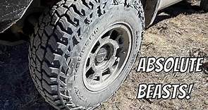 Impressed! - Mickey Thompson Baja Boss AT Pizza Cutter 35” Review