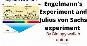 T.W.Engelmann's experiment, Julius von Sachs experiment, photosynthesis part 3 by Biology wallah
