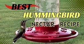 The Best, All Natural, Homemade Hummingbird Nectar Recipe (4k Tutorial)
