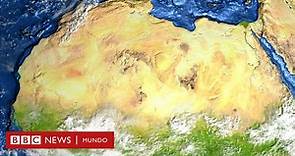 "Sabanas, praderas y bosques": cómo era el Sahara antes de convertirse en uno de los mayores desiertos del planeta - BBC News Mundo