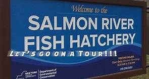 Salmon River Hatchery Tour