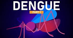 Dengue Explained in 5 Minutes